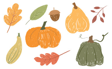 Children's chalk element of pumpkin. Drawn vegetables. Autumn theme vector illustration