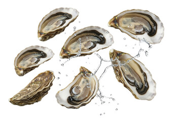Dynamic Splash: Fresh Oysters Flying with Water on White Background