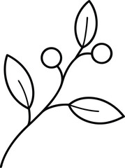 mistletoe branch delicate one line drawing illustration on transparent background