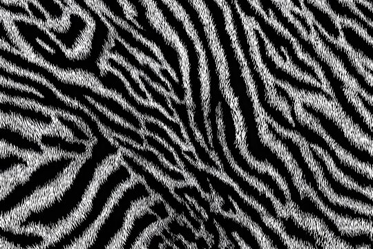 Detailed image displays a bold black and white zebra-striped design. The pattern, featuring irregular stripes, creates a textured appearance and strong contrast.