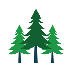 christmas trees isolated on white