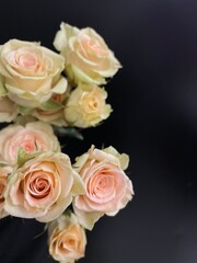 bunch of mini roses on black