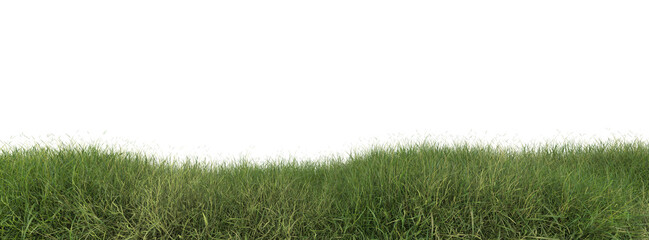 Grass spring on transparent background