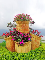 Flower pots with colorful flowers, with blurry nature background