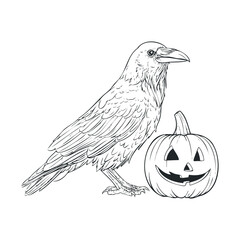 Fototapeta premium Halloween spirit with a crow and a carved pumpkin. Vector hand drawn illustration