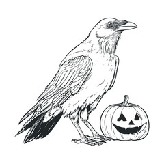 Fototapeta premium Halloween decorations featuring raven with carved pumpkin. Vector hand drawn illustration