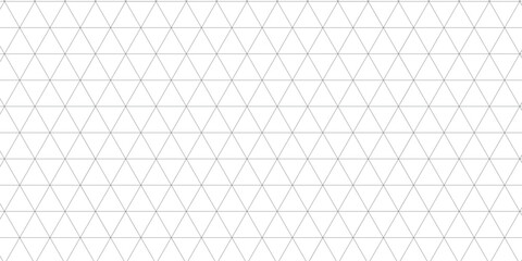 Abstract isometric grid vector seamless pattern. Black and white thin line triangles texture. Monochrome geometric mosaic minimalistic background. Plotting hexagonal, triangular ruler for drafting