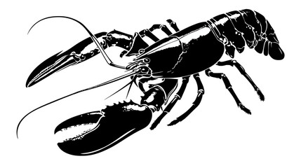 A detailed black and white illustration depicts a lobster, presented in a sharp, vector-style art