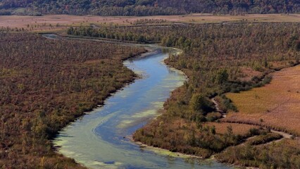 Natural wetland marsh with peaceful West River at High Tor  WMA near Canandaigua lake in New York State during Autumn Fall Season with sunshine and blue sky
