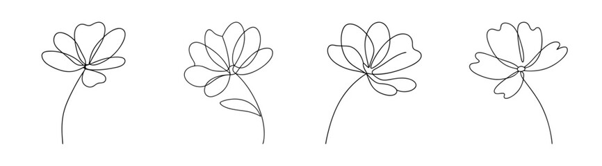 Four delicate line art renderings of cosmos flowers showcasing their intricate petal structures and slender stems