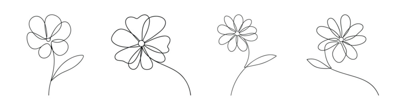 Delicate coreopsis flowers sketch detailed botanical line art petals and stems rendered with fine lines