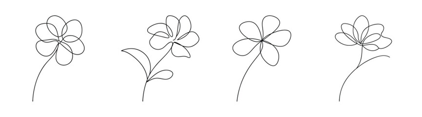 Elegant sketch of four delicate japanese anemone flowers botanical art line drawing style