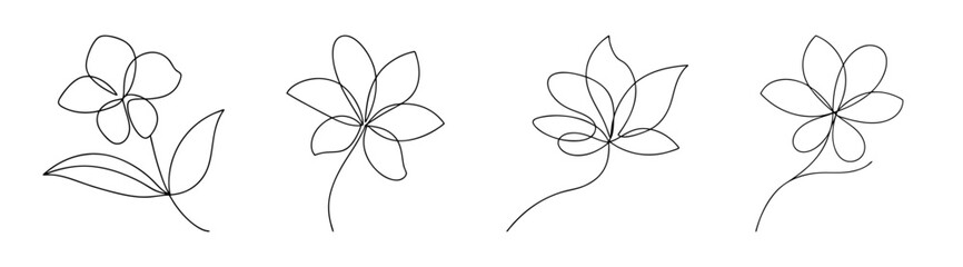 Delicate hand drawn jasmine flower line art collection set of four elegant botanical sketches