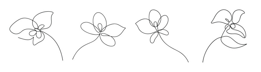 Delicate black and white line art botanical study of lamium deadnettle flowers and stems