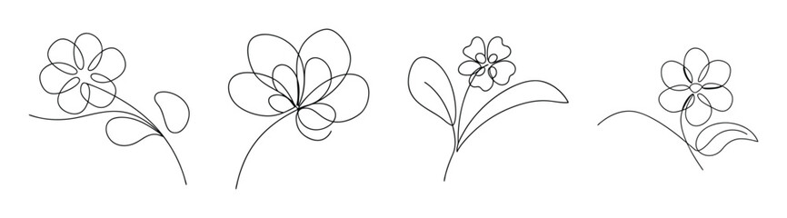 Detailed line drawings of sweet alyssum flowers in multiple perspectives for botanical study