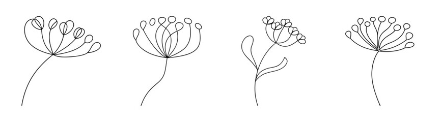 Four detailed line drawings of yarrow flowers showcasing delicate petal structures and stem details in a naturalistic composition