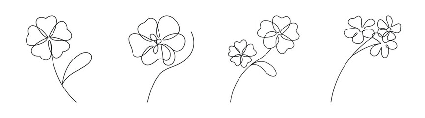 Delicate verbena flower drawings delicate sketchy rendering of verbena blooms detailed floral art