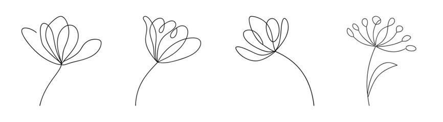 Delicate line art sketches of four allium flowers showcasing their intricate seed heads in artistic detail