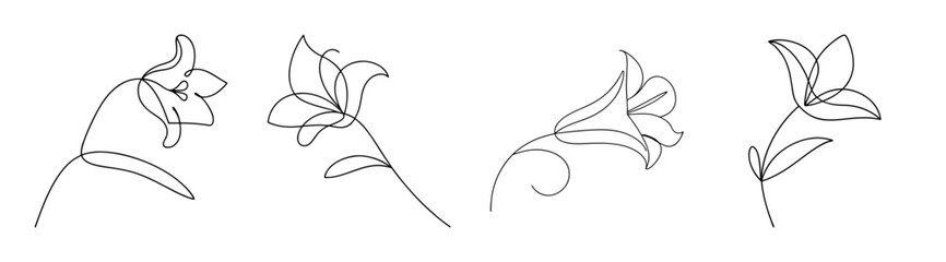 Four delicate line drawings of angel's trumpet flowers in various poses captured in sketch style
