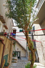 Alleyway of Giglio Porto, Tuscan Archipelago, Italy