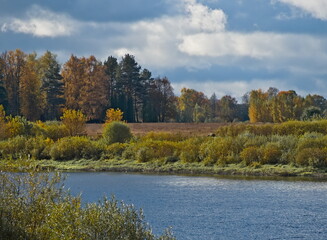 A rural landscape with a river in autumn - A serene landscape view of a river or stream winding through the beautiful autumn countryside