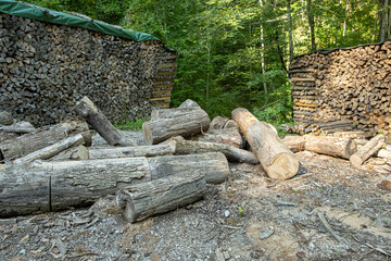 Logs at a sawmill in the forest, close-up
