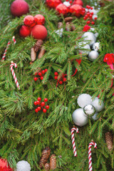 Sparkling Christmas balls and pinecones hang among green spruce branches create a joyful winter mood