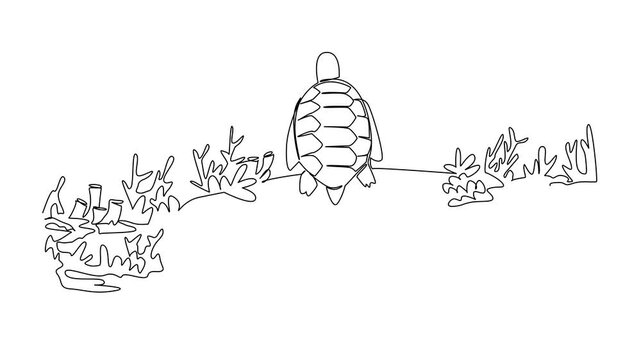 Self drawing animation of single one line drawing turtle sitting on coral reef. Environmental degradation. Loss of habitats. Real extinction. National Endangered Species Day. Full length animated