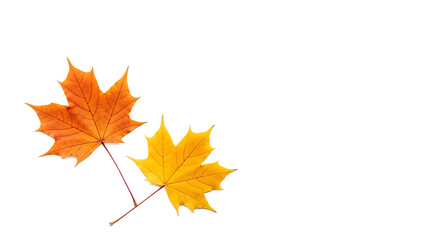 Vibrant Autumn Leaves on Transparent Background Whisk_714c4cf7deb5d5fae1f4452d2993a779dr_transparent