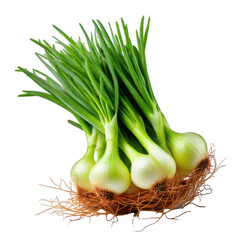 Green onion isolated on transparent background