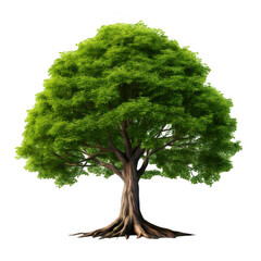 Green tree isolated on transparent background.