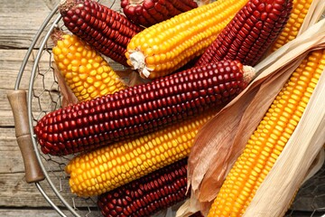 Red and yellow corn cobs in basket on wooden table, top view