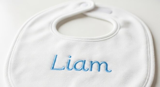 Personalized Baby Bib with liam Embroidery