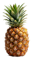 Pineapple harvesting tropical farm food bright environment view isolated on transparent background