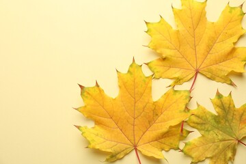 Beautiful autumn leaves on beige background, flat lay. Space for text