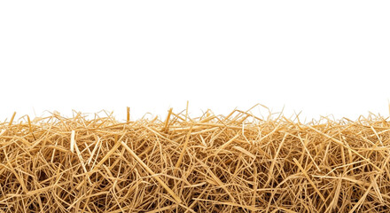 Golden straw isolated on transparent background, a natural and dry plant material used for animal bedding and decoration purposes
