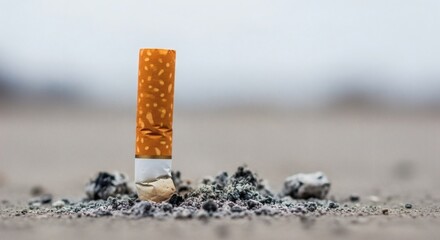 End of the Line Cigarette Butt on Concrete.