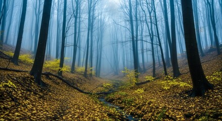 Misty Forest Creek Autumn gold carpet and fogveiled trees create serene scene.