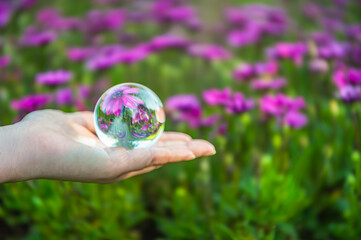 손바닥 위에 투명 구슬에 비친 꽃 