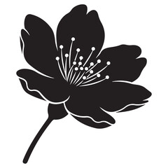 Elegant Monochrome Flower Silhouette with Delicate Stamens