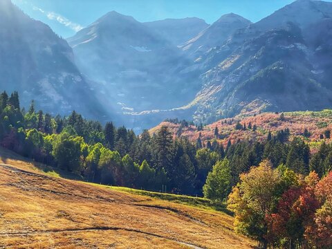 Fall colours in the mountains, Sundance, Utah, USA