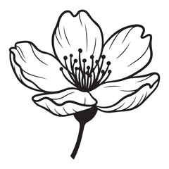 Elegant Black and White Line Art Flower Illustration
