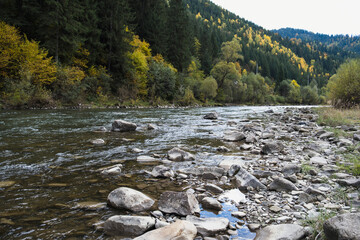 A wide shot of a swift mountain river with a rocky shore, flowing past a steep hillside covered in...