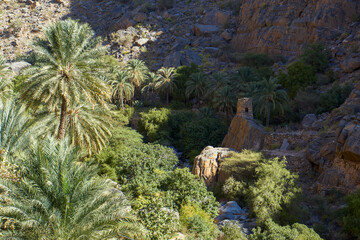 Ancient stone tower stands amidst lush palm oasis