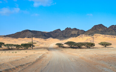 A lonely road winds through the desert landscape