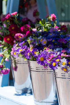Close-up of metal buckets filled with autumnal aster flowers at a street market, Georgia