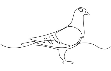 pigeon one continuous line drawing.