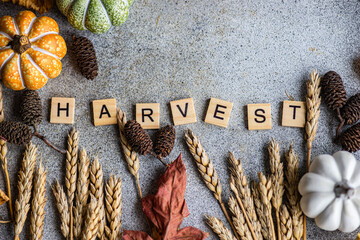 Close-up overhead view of wooden letters spelling out the word Harvest on a table with autumnal ears of wheat, pumpkins, autumn leaves  and pinecones