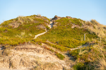 A grassy dune rises against a clear blue sky, bathed in warm sunlight. The soft shadows reveal the natural dune patterns.