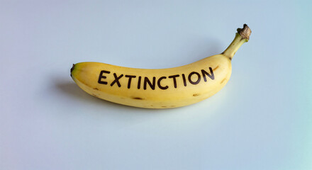 Banana with the word EXTINCTION written on it Keywords: banana, fruit, yellow, word